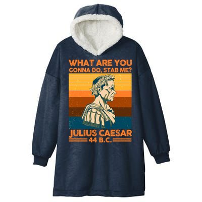 Julius Caesar What Are You Gonna Do Stab Me? Hooded Wearable Blanket