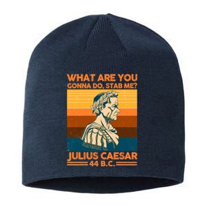 Julius Caesar What Are You Gonna Do Stab Me? Sustainable Beanie