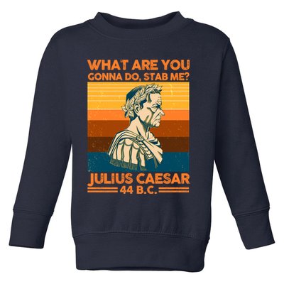 Julius Caesar What Are You Gonna Do Stab Me? Toddler Sweatshirt