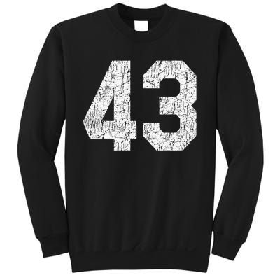 Jersey Uniform Number 43 Athletic Style Sports Sweatshirt