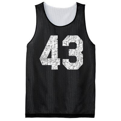 Jersey Uniform Number 43 Athletic Style Sports Mesh Reversible Basketball Jersey Tank