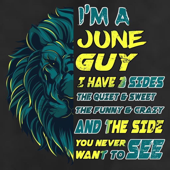 June Birthday Guy Has 3 Sides Sweet Funny Crazy  Adult Drive Performance Visor