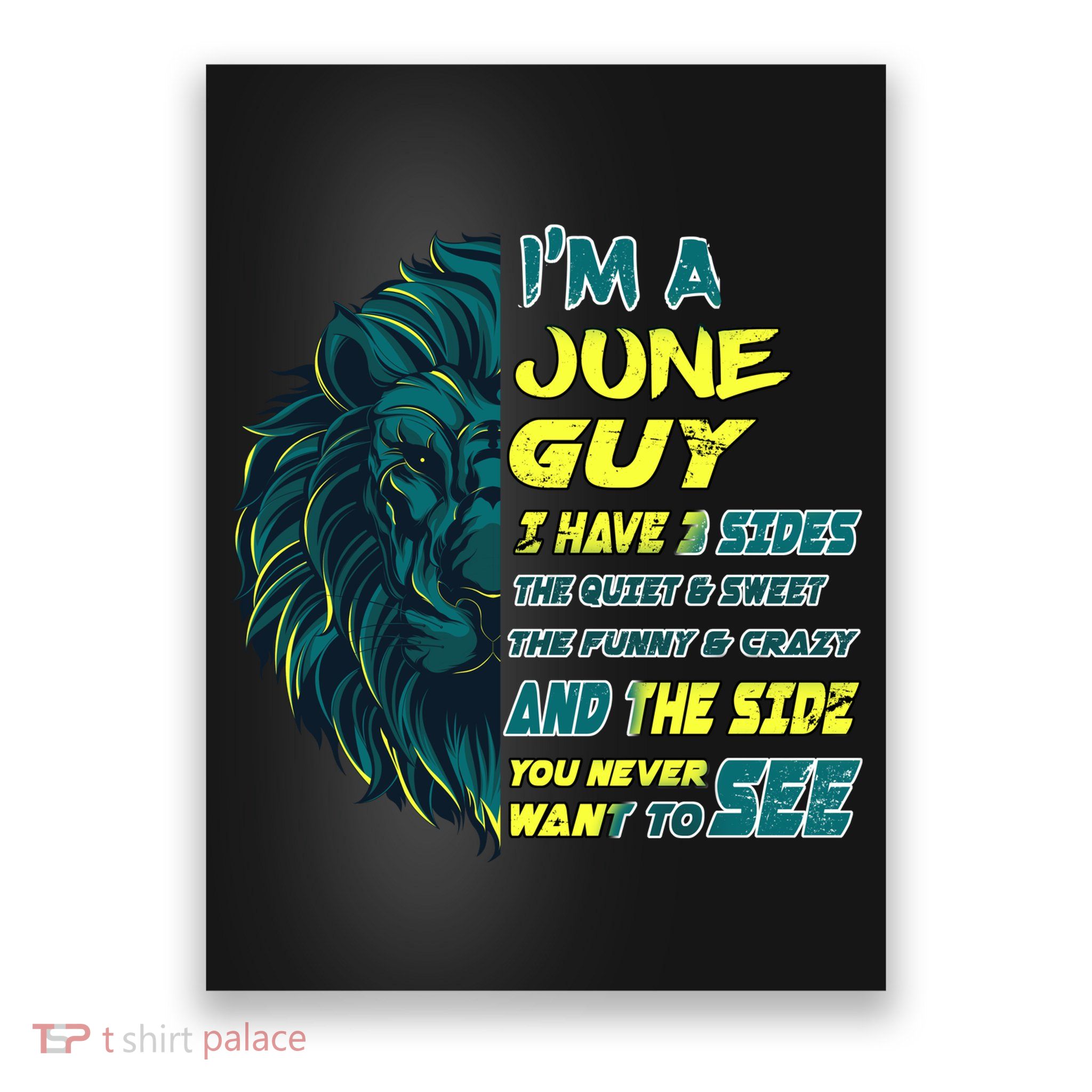 June Birthday Guy Has 3 Sides Sweet Funny Crazy  Poster