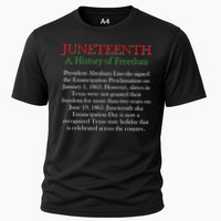 Juneteenth A History of Freedom Cooling Performance Crew T-Shirt