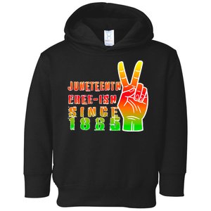 Juneteenth Freedom Day African American June 19th 1965 Toddler Hoodie