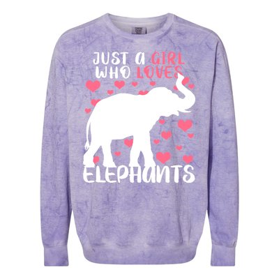 Just A Girl Who Loves Elephants Colorblast Crewneck Sweatshirt