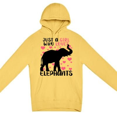 Just A Girl Who Loves Elephants Premium Pullover Hoodie