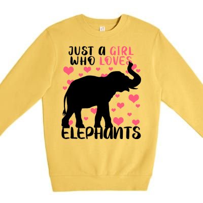 Just A Girl Who Loves Elephants Premium Crewneck Sweatshirt