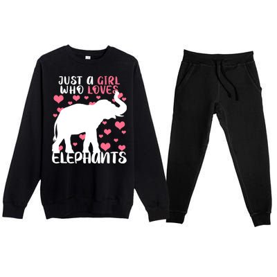 Just A Girl Who Loves Elephants Premium Crewneck Sweatsuit Set