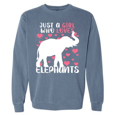 Just A Girl Who Loves Elephants Garment-Dyed Sweatshirt