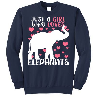 Just A Girl Who Loves Elephants Sweatshirt