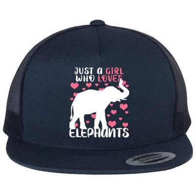 Just A Girl Who Loves Elephants Flat Bill Trucker Hat