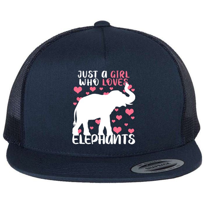 Just A Girl Who Loves Elephants Flat Bill Trucker Hat