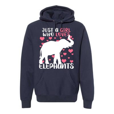 Just A Girl Who Loves Elephants Premium Hoodie