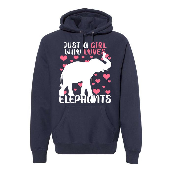 Just A Girl Who Loves Elephants Premium Hoodie