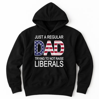 Just a Regular Dad Trying Not To Raise Liberals Hoodie