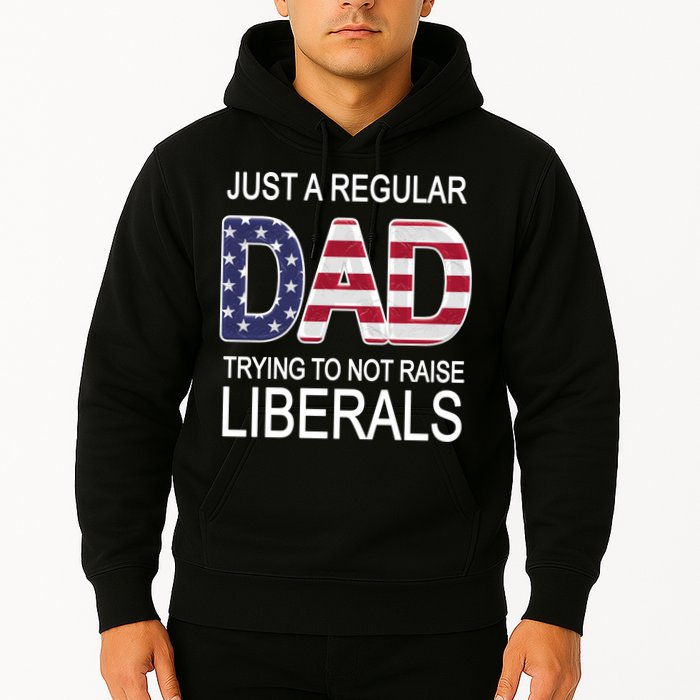 Just a Regular Dad Trying Not To Raise Liberals Hoodie