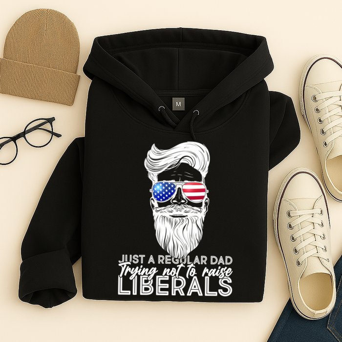 Just A Regular Dad Trying Not To Raise Liberals Hipster Dad Hoodie
