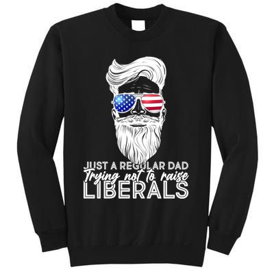 Just A Regular Dad Trying Not To Raise Liberals Hipster Dad Sweatshirt