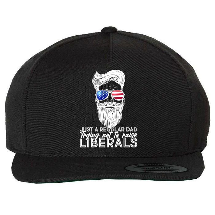 Just A Regular Dad Trying Not To Raise Liberals Hipster Dad Wool Snapback Cap