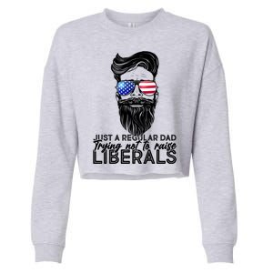 Just A Regular Dad Trying Not To Raise Liberals Hipster Dad Cropped Pullover Crew