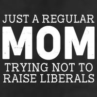 Just A Regular Mom Trying Not To Raise Liberals Cool Comfort Performance Bucket Hat