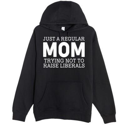 Just A Regular Mom Trying Not To Raise Liberals Premium Pullover Hoodie