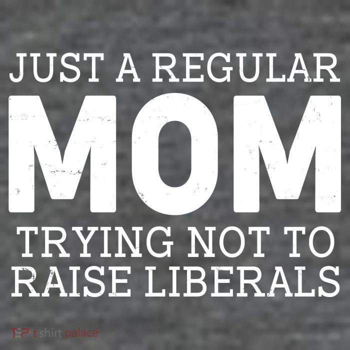 Just A Regular Mom Trying Not To Raise Liberals Poster
