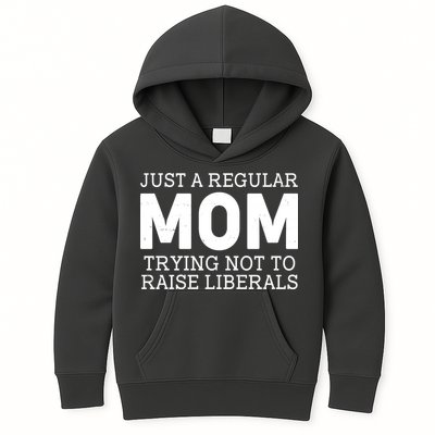 Just A Regular Mom Trying Not To Raise Liberals Kids Hoodie