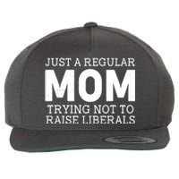 Just A Regular Mom Trying Not To Raise Liberals Wool Snapback Cap