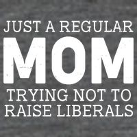 Just A Regular Mom Trying Not To Raise Liberals Wool Snapback Cap