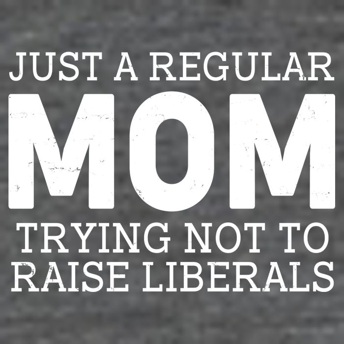 Just A Regular Mom Trying Not To Raise Liberals Wool Snapback Cap