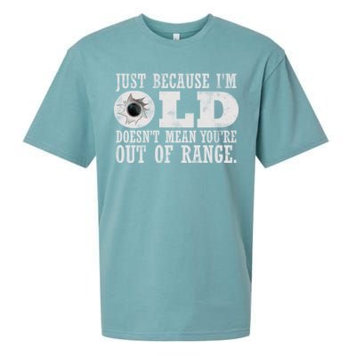 Just Because I'm Old Doesn't Mean Your Out Of Range Sueded Cloud Jersey T-Shirt