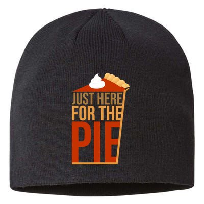 Just Here For The Pie Sustainable Beanie