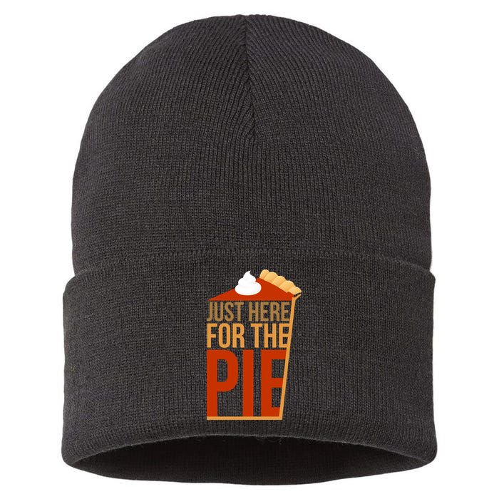 Just Here For The Pie Sustainable Knit Beanie