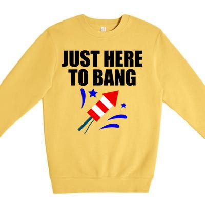 Just Here To Bang 4th Of  July Premium Crewneck Sweatshirt