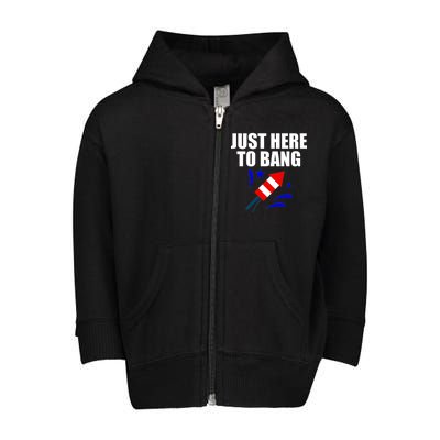 Just Here To Bang 4th Of  July Toddler Zip Fleece Hoodie