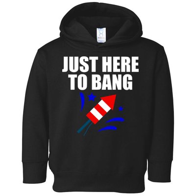 Just Here To Bang 4th Of  July Toddler Hoodie