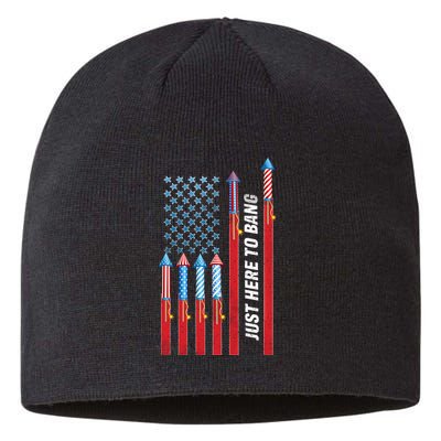 Just Here To Bang American Flag Fireworks Sustainable Beanie