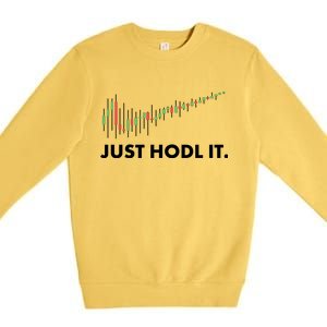 Just HODL It Moon Chart Crypto Currency Premium Crewneck Sweatshirt