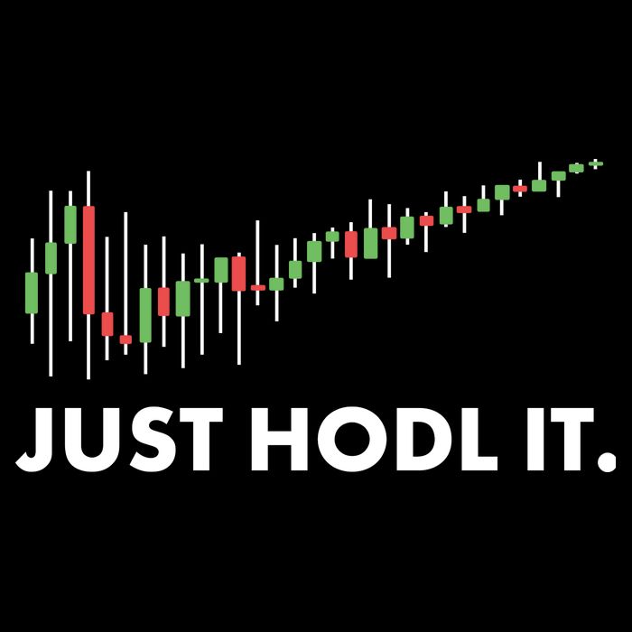 Just HODL It Moon Chart Crypto Currency Flexfit Unipanel Trucker Cap