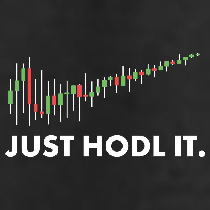 Just HODL It Moon Chart Crypto Currency 15oz Campfire Ceramic Mug