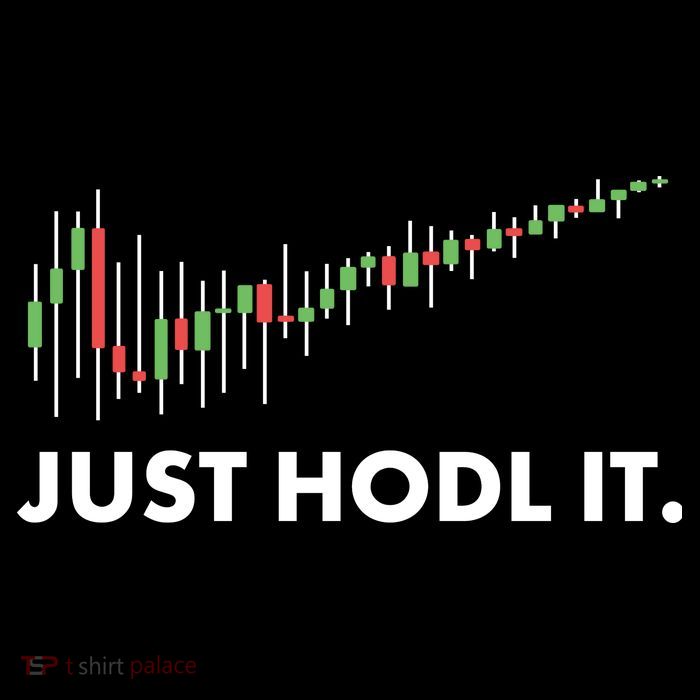 Just HODL It Moon Chart Crypto Currency Poster