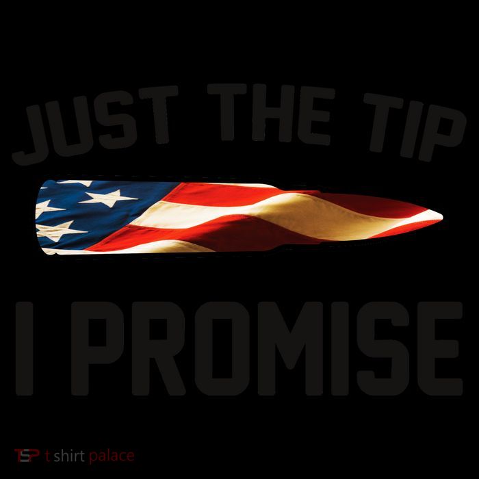 Just The Tip I Promise Mug
