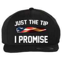 Just The Tip I Promise Wool Snapback Cap