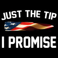 Just The Tip I Promise Wool Snapback Cap