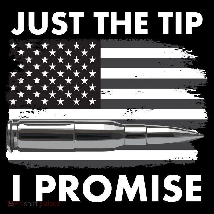 Just the Tip I Promise USA Bullet Flag T-Shirt