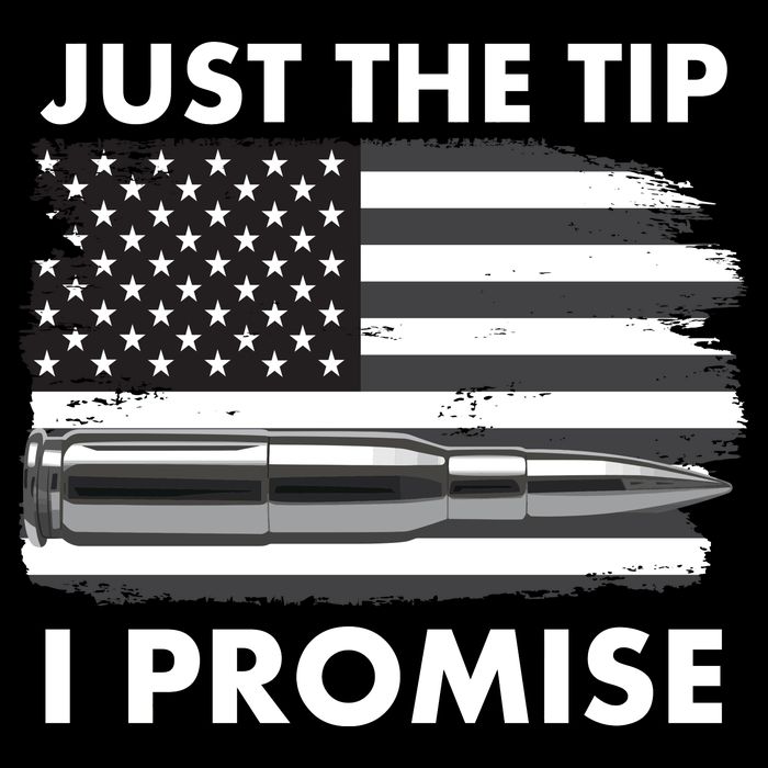 Just the Tip I Promise USA Bullet Flag 7-Panel Snapback Hat