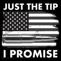 Just the Tip I Promise USA Bullet Flag Flatbill Hat