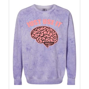 Just Use It Funny Brain Colorblast Crewneck Sweatshirt